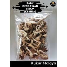 We did not find results for: Buy Cendawan Tiram Kering Ready Stok Seetracker Malaysia