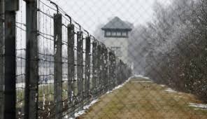 Image result for holocaust photos