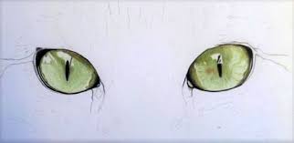 Draw this cat by following this drawing lesson. How To Draw Cat Eyes With Colored Pencil Carrie L Lewis Artist