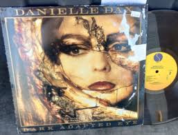 SOUL LP, DANIELLE DAY, DARK ADAPTED EYE, VG+, SPIN CLEANED !