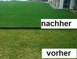Um einen schönen rasen lange zu erhalten ist das regelmäßige vertikutieren wichtig. Rasen Vertikutieren Inkl Dunger Nachsaat Jetzt In Bielefeld Mitte Ebay Kleinanzeigen