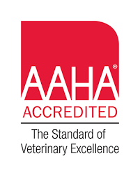 Dogwood pet hospital is located at 4102 n. Dogwood Animal Hospital Veterinarian In Fayetteville Nc Usa Home Dogwood Animal Hospital Veterinarian In Fayetteville Nc Us
