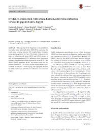 Enppi — ghazi el mehalla. Evidence Of Infection With Avian Human And Swine Influenza Viruses In Pigs In Cairo Egypt Request Pdf