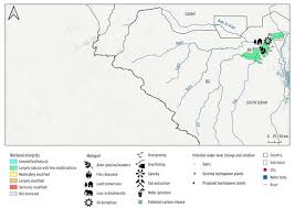 Image result for Ascolepis lineariglumis