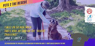 What is the difference between adopting a dog, adopting a cat, adopting a kitten or adopting a puppy versus getting dogs for sale, cats for sale. Paws 4 You Rescue Miami