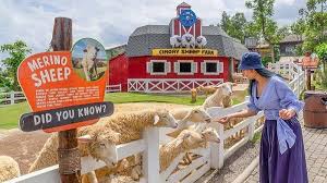 Disini juga memungkinkan anda untuk mengadakan kegiatan perkemahan. Harga Tiket Masuk Cimory Dairyland Prigen Terbaru Ada Paket Wahana Mulai Rp 35 Ribuan Tribun Travel