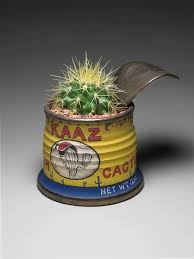 For cactus, an investment of about rs 50,000 to rs 60,000 per acre will bring in a return. Succulents Tohono Chul Tucson Az