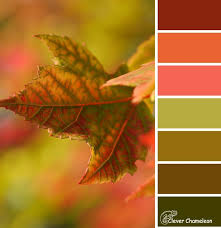 The Autumn Splendour Colour Palette Is Burnt Red Orange Coral Dark Olive Green Light Olive Green Green Colour Palette Fall Color Palette Red Colour Palette