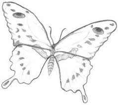 How to sketch a butterfly. Simple Butterfly Drawings
