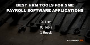 If you're a sole proprietor with no employees regardless of which software you end up using, look out for these essential features you want to look for a product that allows easy customisation of statements, forms, reports, screens. Top 20 Of Best Payroll Software Applications For Sme As Recommended By Hr Pros