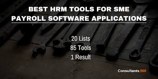 Since things like that are usually cheaper than hiring actual persons, then this would be a good thing to have. Top 20 Of Best Payroll Software Applications For Sme As Recommended By Hr Pros