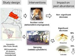 Among the worst midges are biting midges. Significant Reduction In Abundance Of Peridomestic Mosquitoes Culicidae And Culicoides Midges Ceratopogonidae After Chemical Intervention In Western Sao Paulo Brazil Parasites Vectors Full Text