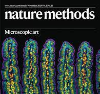 Volume 21 Issue 11, November 2024