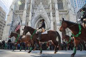 Patrick's day facts aren't true. 16 Facts About St Patrick S Day That Ll Make You Say Whoooooaaaa No Way