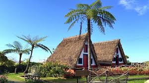 Madeira Urlaub Sehenswurdigkeiten Strande Wandern Madeira Urlaub Urlaub Ferienhaus Madeira