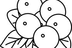 Her best buds know she s always there for them a true blue friend to the end. Blueberry Bush In The Garden Coloring Pages Best Place To Color
