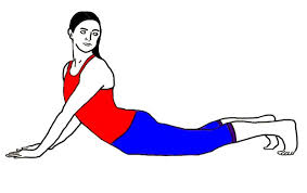 Keeping calm and focused while balancing. Tiryaka Bhujangasana Twisting Cobra Pose Sarvyoga Yoga