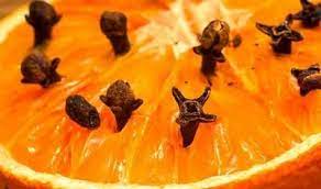 Ambientador Natural De Clavos De Olor Clavo De Olor Ambientador Natural Olor