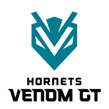 Charlotte — it has been a whirlwind of an offseason for the charlotte hornets. Charlotte Hornets New Esports Team Is Called Hornets Venom Charlotte Observer