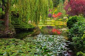 Guests can benefit from additional. The Garden Of Eden Herald Of Grace Heralding God S Saving Truth