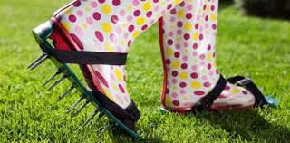 The 8 best fertilizers of 2021. Should You Rent Or Buy A Lawn Aerator 5 Key Considerations Thriving Yard
