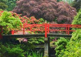 Washington Park Arboretum And Japanese Garden Seattle Washington Washington Park Japanese Garden Evergreen State