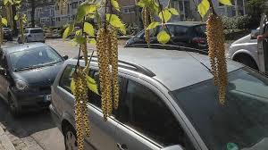 In Funf Einfachen Schritten Wird Das Auto Pollenfrei In 2020 Autos Schnupfen Polizeikontrolle