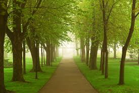 We did not find results for: Scenic Landscape 19823 Wallpapers Landscape Scenery Landscape Scenery