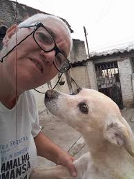 Hotel e creche para cães Fatiminha