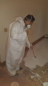 Treating And Sealing A Subfloor After Removing Carpet And Padding Affected By Pet Stains And Odor Once The Source Of Odor Is Pet Stains Pet Odors Odor Remover