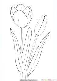 Tulip flower drawing step by step. Excellent How To Attract A Tulip Step By Step Drawing Tutorials For Kids And Freshmen Flower Drawing Tutorials Easy Flower Drawings Tulip Drawing
