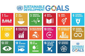 Common Questions On The Sustainable Development Goals What Is The High Un Sustainable Development Goals Sustainable Development Sustainable Development Goals