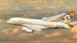 Image result for etihad airbus crash