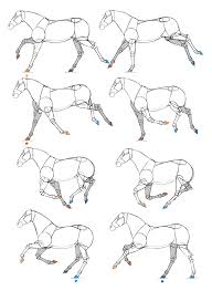 Drawing And Animating Horses A Flipbook Tutorial Animal Drawings Horse Drawings Creature Drawings