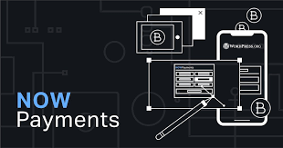 Want to make your wordpress website work with bitcoin? How To Accept Bitcoin And Crypto Payments On Wordpress Nowpayments