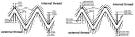 Understanding Key Differences Between NPT and NPTF Taps