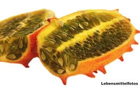 Image result for Cucumis quintanilhae