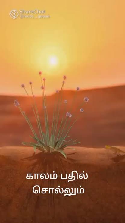 காலம் பதில் சொல்லும் - தமிழ் மேற்கோள்கள்