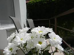 Casa runc este situată pe versantul de nord a stațiunii vatra dornei ceea ce oferă o panoramă deosebită asupra întregului oraș, mult soare, aer curat și multă liniște. Vremea Vatra Dornei BazÄ Starea Vremii Freemeteo Ro