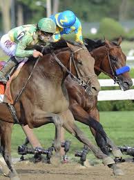 Keen Ice Stuns American Pharoah To Win Travers Stakes American Pharoah Horses Thoroughbred Horse Racing