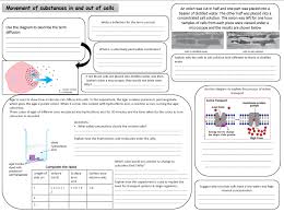 Movement Of Movement Of Substances In And Out Of Cells Edexcel Igcse Biology Igcse Biology Biology Worksheet