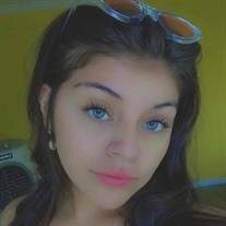 Ariana Mary Morales Obituary