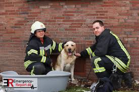 Der durchschnittliche immobilienpreis in köln liegt derzeit bei 4.498,25 €/m². 25 01 2019 Koln Worringen Feuerwehr Rettet Hund Aus Verrauchter Wohnung Emergency Report De