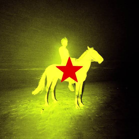 Cover art for STAMPEDE