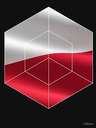 The vertical flag is simply the horizontal version turned 90 degrees polish law on national symbols. Polska Flagge Polen Essential T Shirt Von Chillaxo Polnische Flagge Polnisch Flaggen