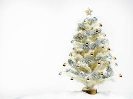 Indoor and outdoor commercial christmas trees ranging in size from 12' to 100' tall. What S The Best Christmas Tree You Can Buy Wwf Australia Wwf Australia