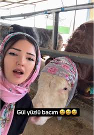 Baci Baci Qul Yuzlu Baci