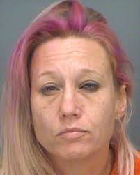 Safety Harbor woman runs out of gas, steals someone else's car, police say