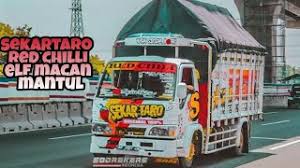 Van life atau kehidupan dalam mobil van menjadi topik hangat di amerika serikat baik dipicu pandemi covid 19 yang mendunia atau krisis paruh baya penggemarnya. Modifikasi Elf Macan Aneka Cara Dan Solusi