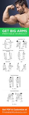 body parts big arms workout biceps